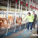 늘푸른축산 이미지