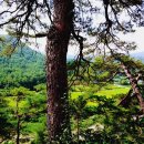 계곡사랑 이미지