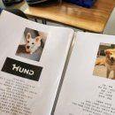 훈트(HUND) 이미지