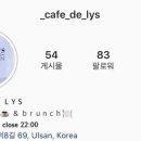 카페드리스 이미지