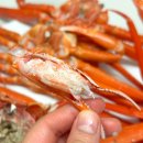 [대진수산/박달홍게] 속이 꽉 찬 제철 대게 택배 후기, 맛있는 울진 박달홍게!