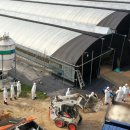 에이치농장 이미지