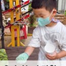 주주꼬꼬 네이버블로그