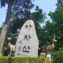 화 봉 재 이미지