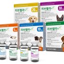 바른메디컬(주) 이미지