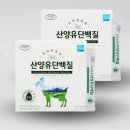 에버그린 이미지