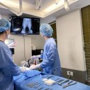 디테일 동물의료센터 이미지