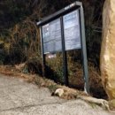 복천사 현왕도 및 복장유물 일괄 이미지