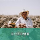 경선효요양원