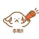 주문진물회 - 용인시 처인구 백옥대로 849 | 주문진물회