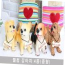 몽이랑 이미지