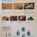 준카클리닉 이미지