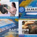 헤드스파K