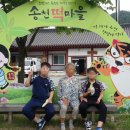 송천마을 정자 이미지