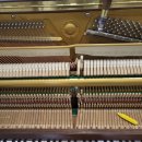 대연상가 이미지