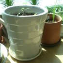 주암동농장 이미지