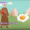 파스테이스 이미지