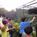 길순농장 이미지