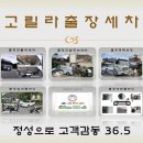 정성출장세차