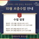 나비수학