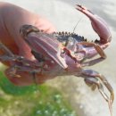 바다위에