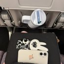 UR(서귀포시)-[남조로]-하-3 | 2025 9월 제주