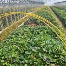 단수농장 이미지