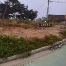 행정사오천조사무소 이미지