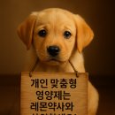 참약사레몬약국 이미지