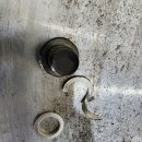 정카센타 이미지