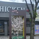 씨유 오페라 서한이다음점 | [대구/북구] 고성동 데이트 카페 &#39;카페 봄스&#39; 타로 잘 보는 곳