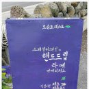 카카오 이미지