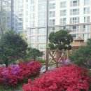 은아네집 이미지