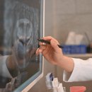 더가지런한치과교정과치과의원 이미지