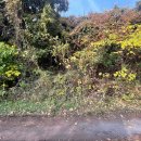 호근동-1 이미지