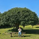 정을품은 펜션 이미지