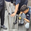 루나이엔씨 이미지