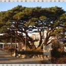 선원초교 이미지