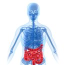 [튼튼병원 소화기센터]"장염증상 및 장염치료방법" 이미지