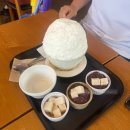 📍 동탄 팥빙수 맛집 ‘눈솜’ 오픈런 후기 ☁️ 눈꽃 우유빙수 라지+떡 추가 내돈내산
