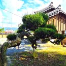 영암수성사 이미지