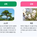 경주화랑고등학교 이미지