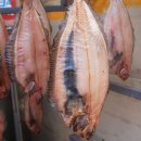 미주구리 이미지