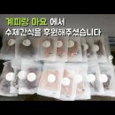 계피랑마요랑 이미지