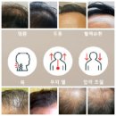 담소앤테라피대구