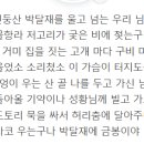 금봉노래 이미지