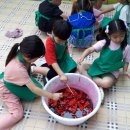 나래유치원 이미지