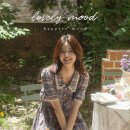 헤세드MD 티스토리