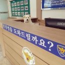 지코바양념통닭 이미지