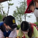 용인성산초등학교 이미지